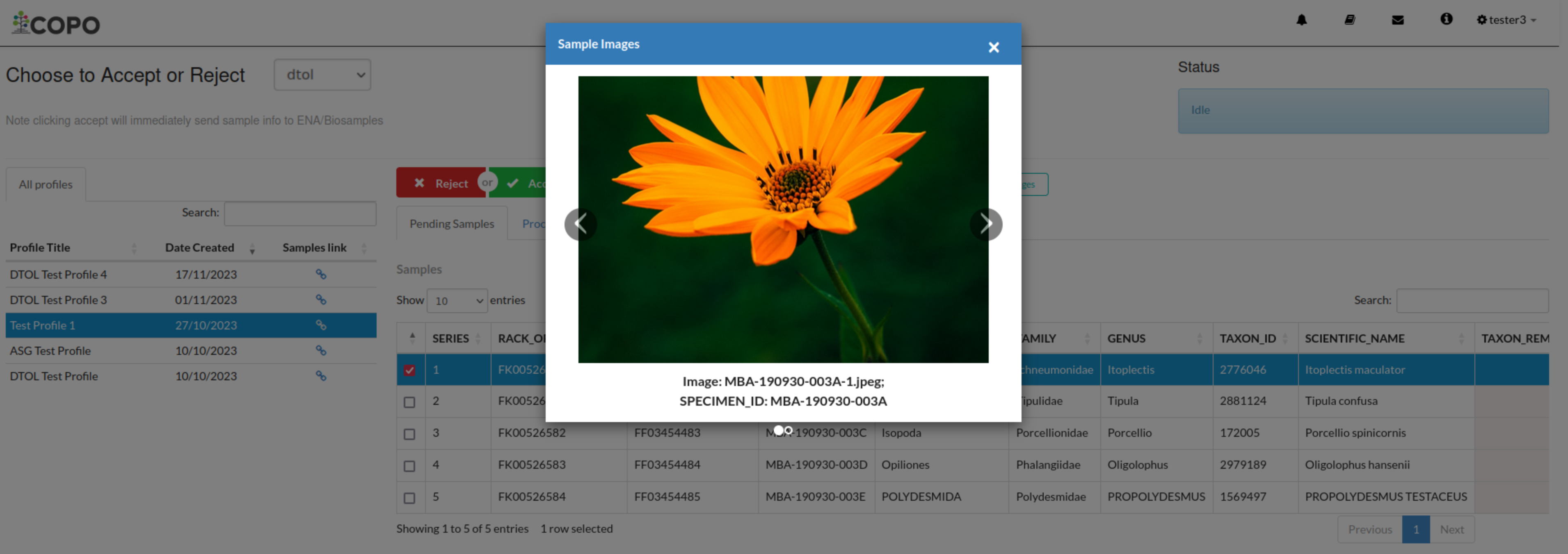 View images popup dialogue with images displayed for selected sample record(s)