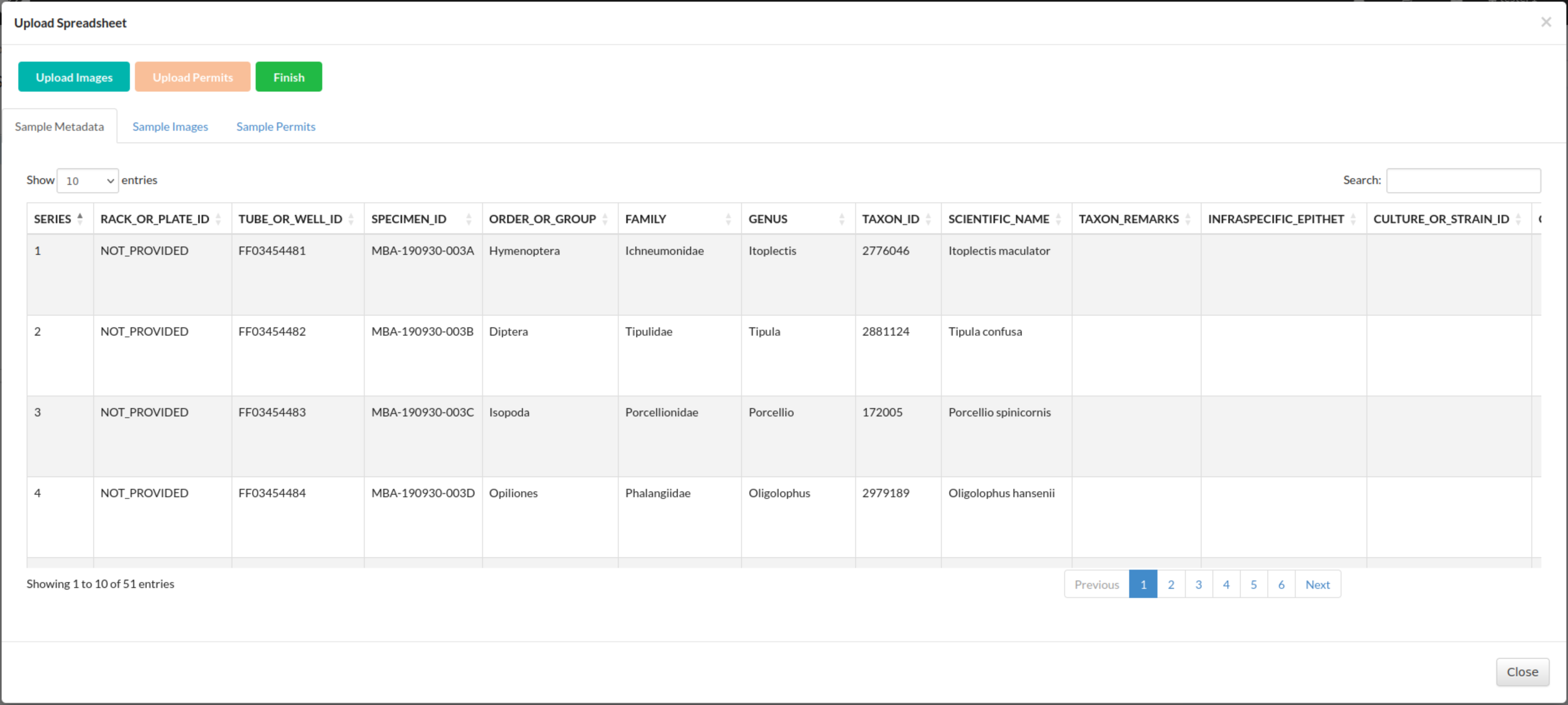Upload Spreadsheet dialogue